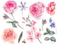 Set of vintage watercolor roses leaves, blooming branches Royalty Free Stock Photo