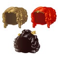 Set of vintage womens wigs for a holiday or a ball isolated on a white background. Vector close-up cartoon illustration.