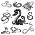 Set Viper Snake. serpent cobra and python, anaconda or viper, royal. engraved hand drawn in old sketch, vintage style