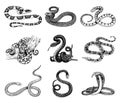Set Viper Snake. serpent cobra and python, anaconda or viper, royal. engraved hand drawn in old sketch, vintage style