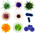 Set of viruses and bacteria isolated against a blom background. Viruses and bacteria under a microscope. An uninitiated