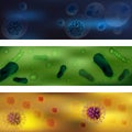 A set of viruses and bacteria. Viruses and bacteria under the microscope. An uninitiated cellular infectious agent that Royalty Free Stock Photo