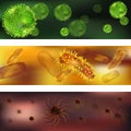 A set of viruses and bacteria. Viruses and bacteria under the microscope. An uninitiated cellular infectious agent that