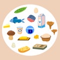Set of Vitamin D origin natural sources. Healthy diary rich food, sea food, fish, mushrooms, eggs. Organic diet products