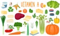 Set of vitamin A sources. Healthy food. Collection of vegetables, greens, milk products and eggs enriched vitamin C. Vector