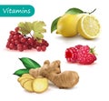 Set of vitamins to strengthen the immunity viburnum, lemon, ginger, raspberry Royalty Free Stock Photo