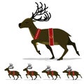 Set of walking deer on transparent background