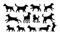 Set walking and standing dog silhouette. Vector black icon Royalty Free Stock Photo