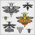 Set of Wasp labels, badges, icons and design elements. Dangerous stinging insects collection. Sport club emblems.