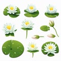 Water Lily Set: Vector Svg Flat Minimalistic Animation Asset Royalty Free Stock Photo