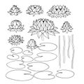 Set of water lily flowers and leaves, for ornaments, decorative frames and borders, black ink lines Royalty Free Stock Photo