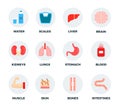 Set of water, weights and human body parts vector illustration in a flat design.