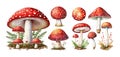 Set of watercolor amanita muscaria mushrooms isolated on white. Generative AI, edited in Photoshop. Perfect stickers set