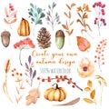 Set of watercolor autumn plants: pumpkins, fir cones, wheat spikes, yellow leaves, fall berries, acorns Royalty Free Stock Photo