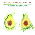 Set of watercolor avocado vector illustration. Splashed hand draw avocado isolated on white background, art vector Royalty Free Stock Photo