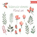 A set of watercolor berries, flowers and leaf. Vector collection with leaves and flowers, hand drawing.