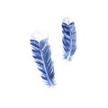 A set of watercolor bird feathers. Blue jay feathers, plumage illustration. Two elements on a white background. Suitable Royalty Free Stock Photo