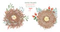 Set of the watercolor bird nests with eggs, hand drawn on a white background Royalty Free Stock Photo
