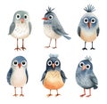 Set of watercolor birds with expressive eyes and feathers, isolated on white background Royalty Free Stock Photo