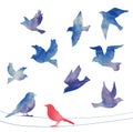 Set of watercolor birds silhouettes - flying, sitting