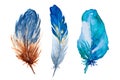 Set of watercolor blue feathers on white background. Bird`s feather. Variegated feather