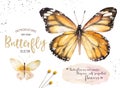 Set of watercolor boho butterfly. Vintage summer isolated spring art. Watercolour illustration. design wedding card Royalty Free Stock Photo