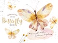 Set of watercolor boho butterfly. Vintage summer isolated spring art. Watercolour illustration. design wedding card Royalty Free Stock Photo