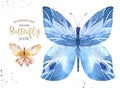 Set of watercolor boho butterfly. Vintage summer isolated spring art. Watercolour illustration. design wedding card