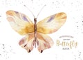 Set of watercolor boho butterfly. Vintage summer isolated spring art. Watercolour illustration. design wedding card Royalty Free Stock Photo