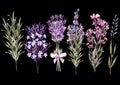 Set of watercolor bouquet lavender flowers on white background.