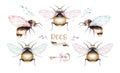 Set of watercolor bright bees. Isolated colorful cartoon beer. Insect set decoration art