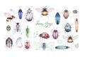Set of watercolor bright beetles, bugs fly and bees. Isolated colorful cartoon buttle and bug. Insect set decoration Royalty Free Stock Photo