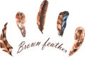 Set of watercolor brown feathers Royalty Free Stock Photo