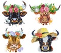 Set of watercolor bulls on white background. Royalty Free Stock Photo