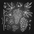 Graphic bunches of grapes, leaves and branches Royalty Free Stock Photo