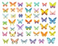 Set of watercolor butterflies. Hand drawn colorful butterflies isolated on white background Royalty Free Stock Photo