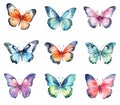 Set of watercolor butterflies isolated on white background Royalty Free Stock Photo