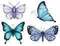 Set Of Watercolor Butterflies And Moths Of Blue Tones