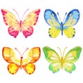 Set of 4 watercolor butterflies on a white background