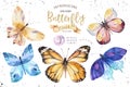 Set of watercolor boho butterfly. Vintage summer isolated spring art. Watercolour illustration. design wedding card Royalty Free Stock Photo