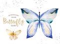 Set of watercolor boho butterfly. Vintage summer isolated spring art. Watercolour illustration. design wedding card Royalty Free Stock Photo