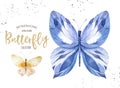 Set of watercolor boho butterfly. Vintage summer isolated spring art. Watercolour illustration. design wedding card Royalty Free Stock Photo