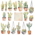 Set of watercolor cacti in a pots, hanging houseplants illustration on a white background