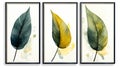 A set of watercolor canvases with an abstract leaf. Plant art design