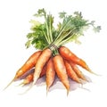 Set of watercolor carrots. Isolated illustration. Generative AI