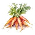 Set of watercolor carrots. Isolated illustration.Generative AI