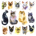 Set of watercolor cats. Isolated cat. Hand drawn set . Love cats