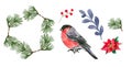 Set of watercolor Christmas elements. Greenery branches, poinsettia, red berries and bullfinch. Royalty Free Stock Photo