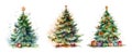 Set of watercolor Christmas trees isolated on white background Royalty Free Stock Photo