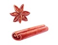 Set of watercolor cinnamon sticks and tea spices anise, on white background. Decorative element